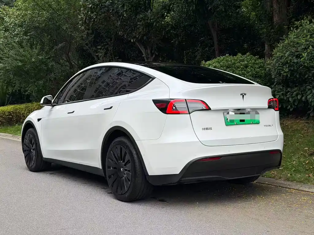Tesla Model Y — миниатюра 4
