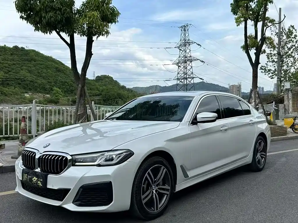 BMW 5 Series — миниатюра 3
