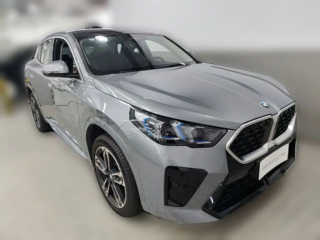 BMW X2 (Import) — миниатюра 6