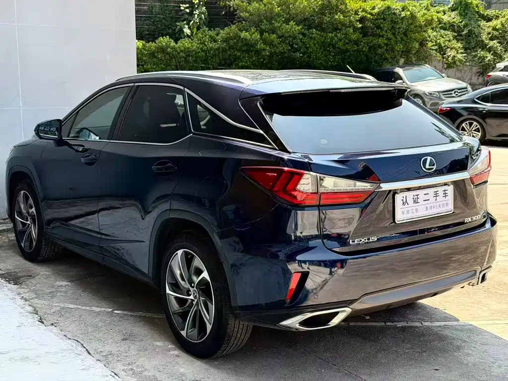 Lexus RX — миниатюра 6