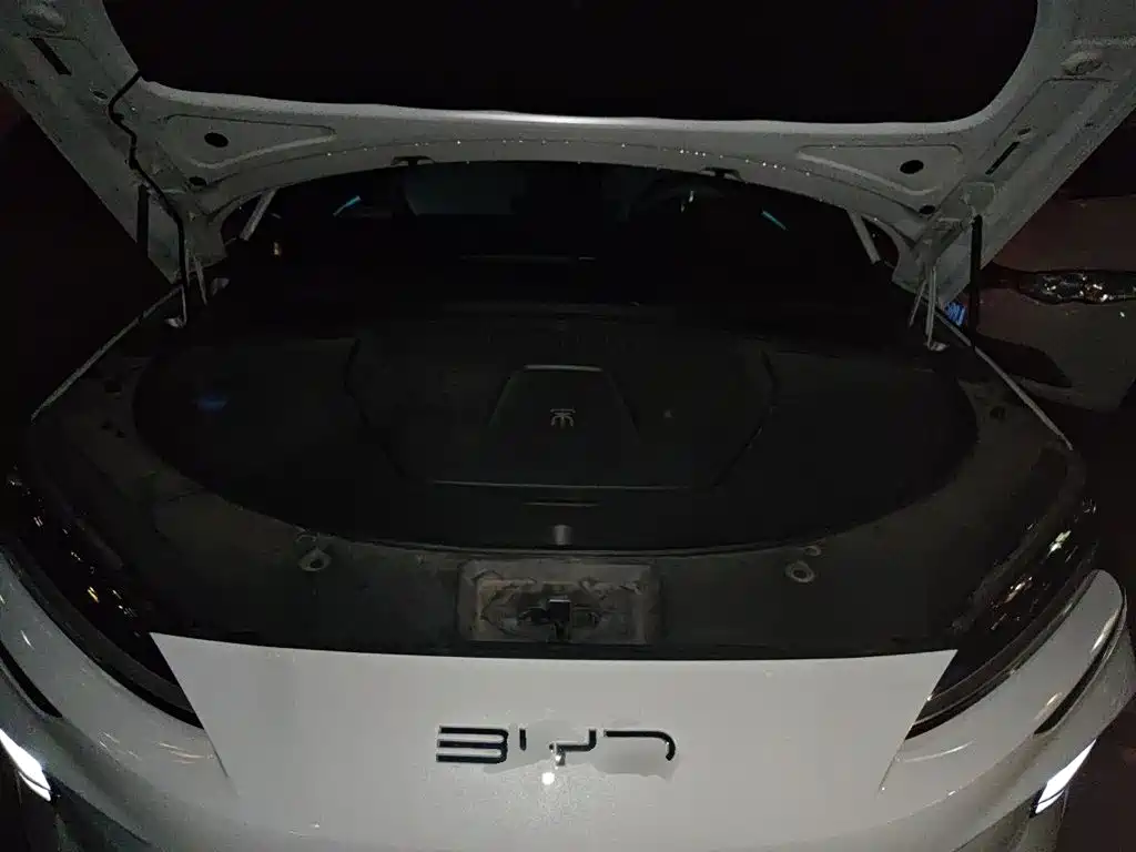 BYD PLUS New Energy — миниатюра 16