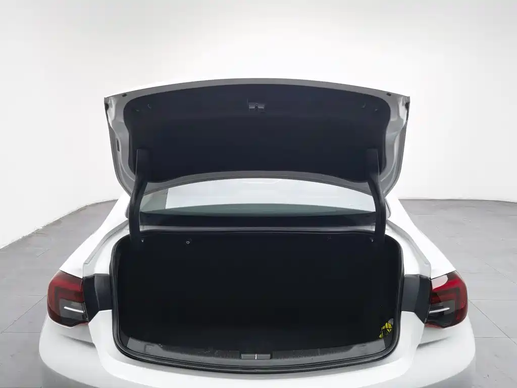 Buick Regal — миниатюра 16