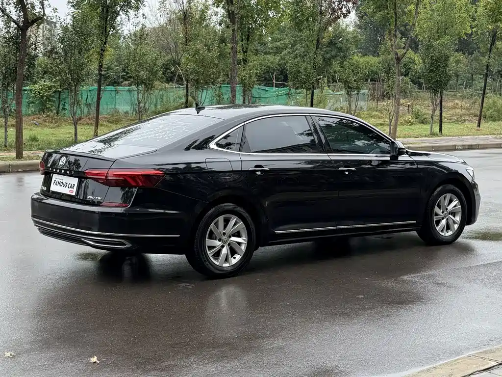 Volkswagen Passat — миниатюра 4