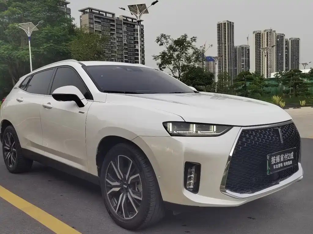 Wey Wey P8 — миниатюра 3
