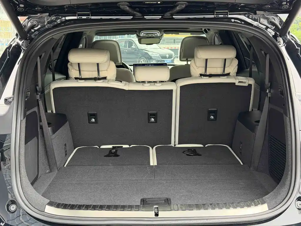 Denza X 2020 PHEV Flagship