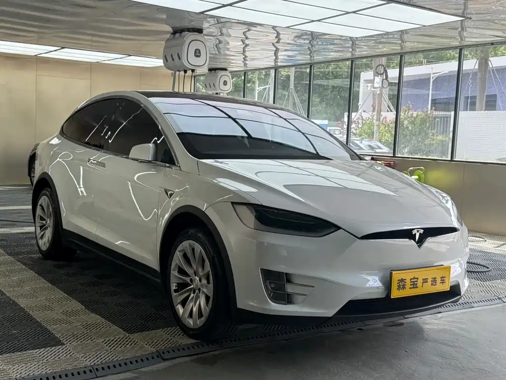 Tesla Model X 2017 Model X 100D