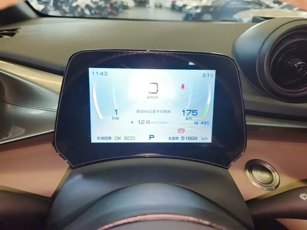 BYD Dolphin — миниатюра 12