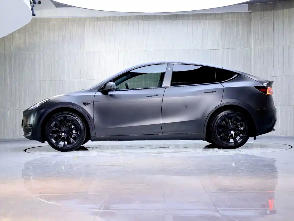 Tesla Model Y — миниатюра 4