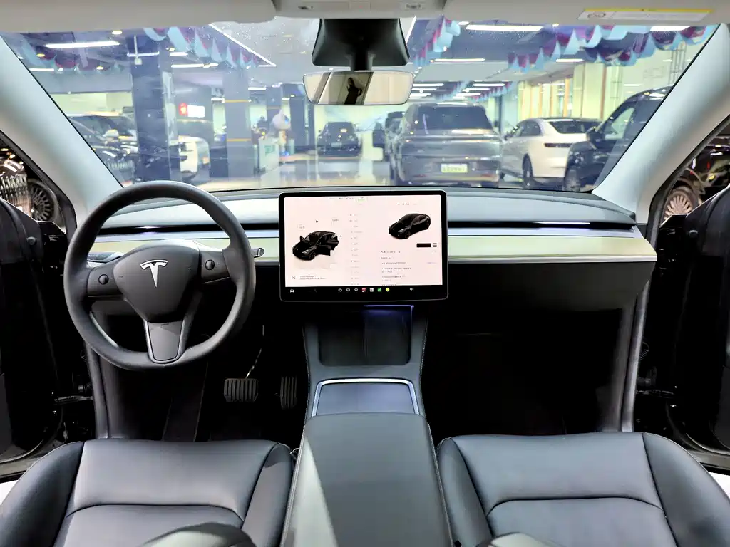 Tesla Model Y — миниатюра 13