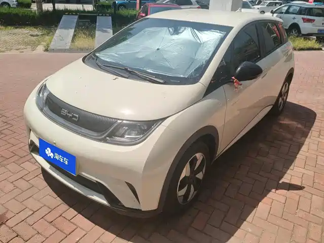 BYD 海豚