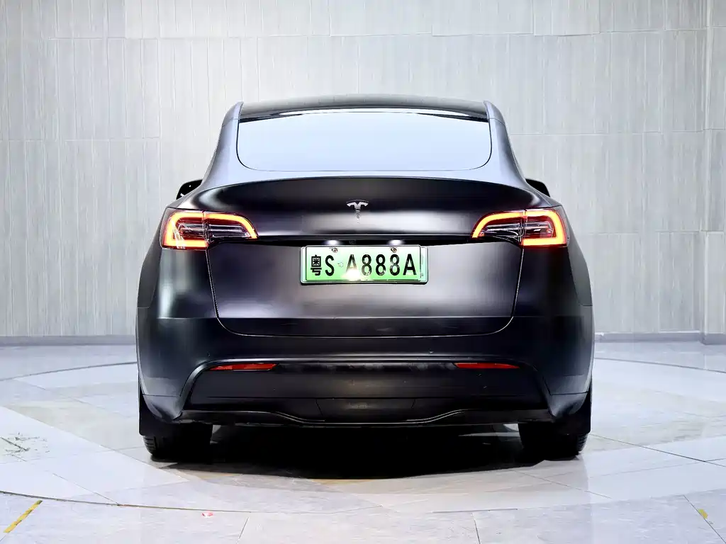 Tesla Model Y — миниатюра 6