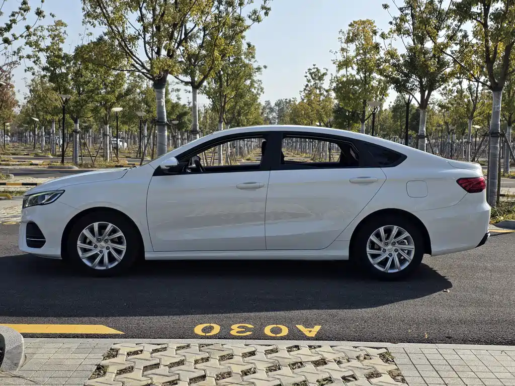 GEELY AUTOMOBILE BINRUI