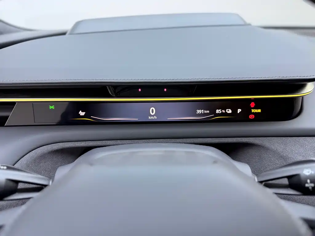 LOTUS SPORTS CAR EMEYA FLOWERS