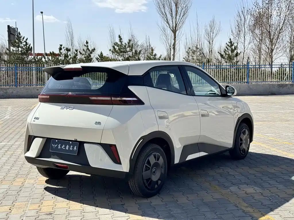 BYD Seagull 2025 Smart Drive 305km