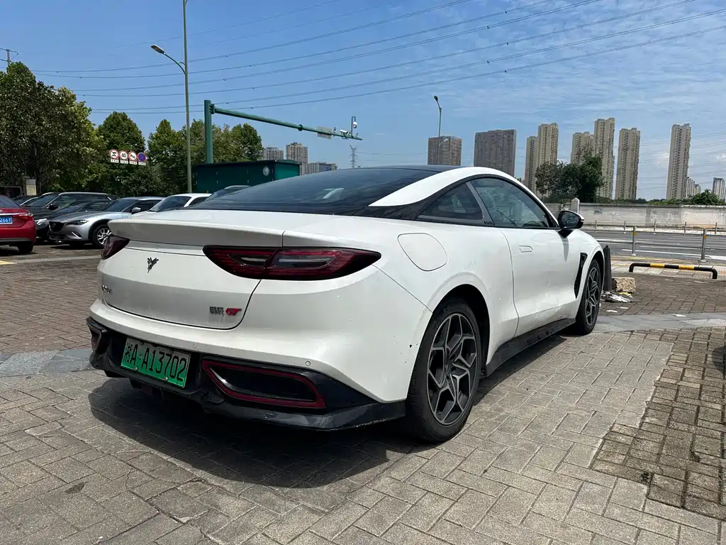 Neta Neta GT — миниатюра 7