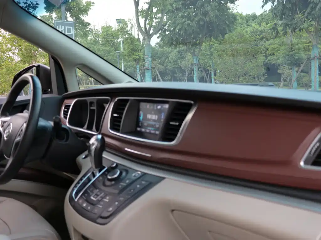 Buick GL8 — миниатюра 23
