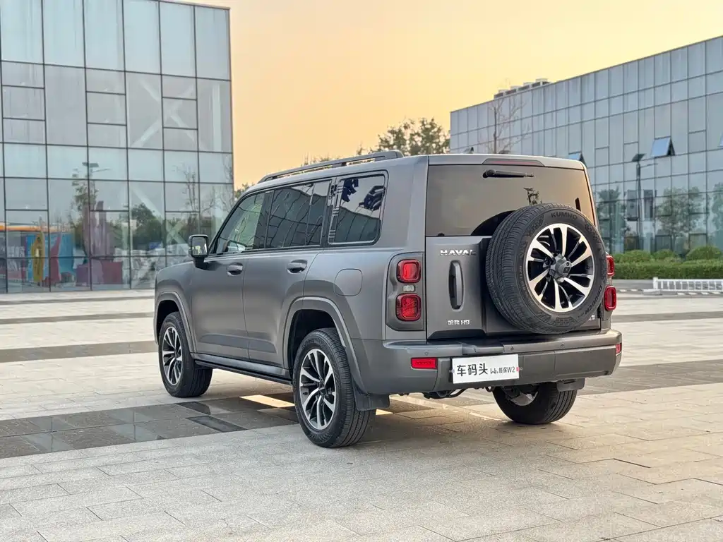 Haval H9 2.0T Gasoline 4WD Ultimate Realm Edition, фото 9