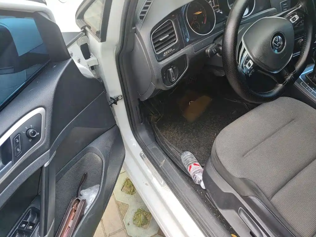 Volkswagen Golf — миниатюра 17