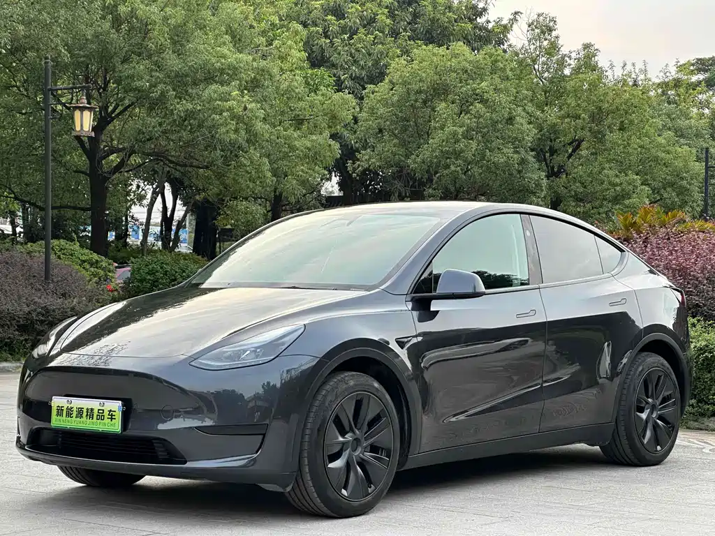 Tesla Model Y 2024 RWD Drive Dynamic Edition