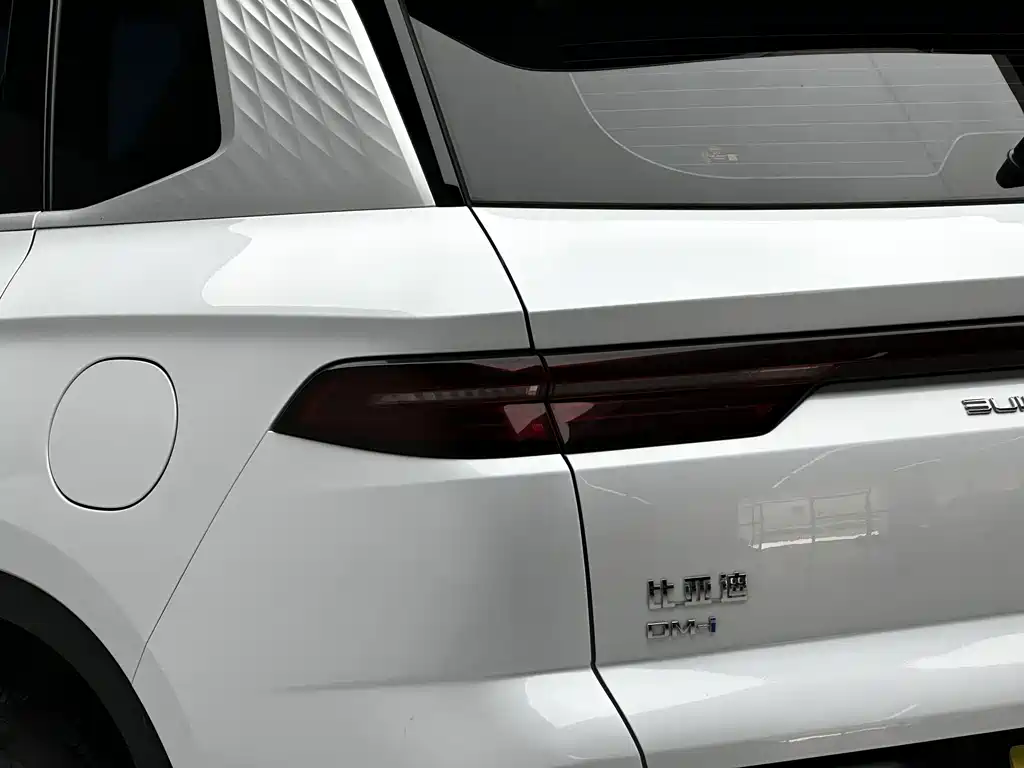 BYD Pro New Energy — миниатюра 21