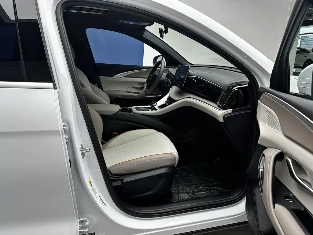 BYD Pro New Energy — миниатюра 11