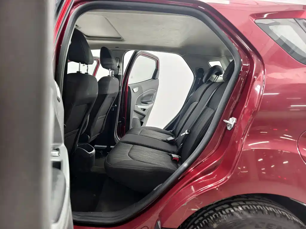 Ford Ecosport — миниатюра 13