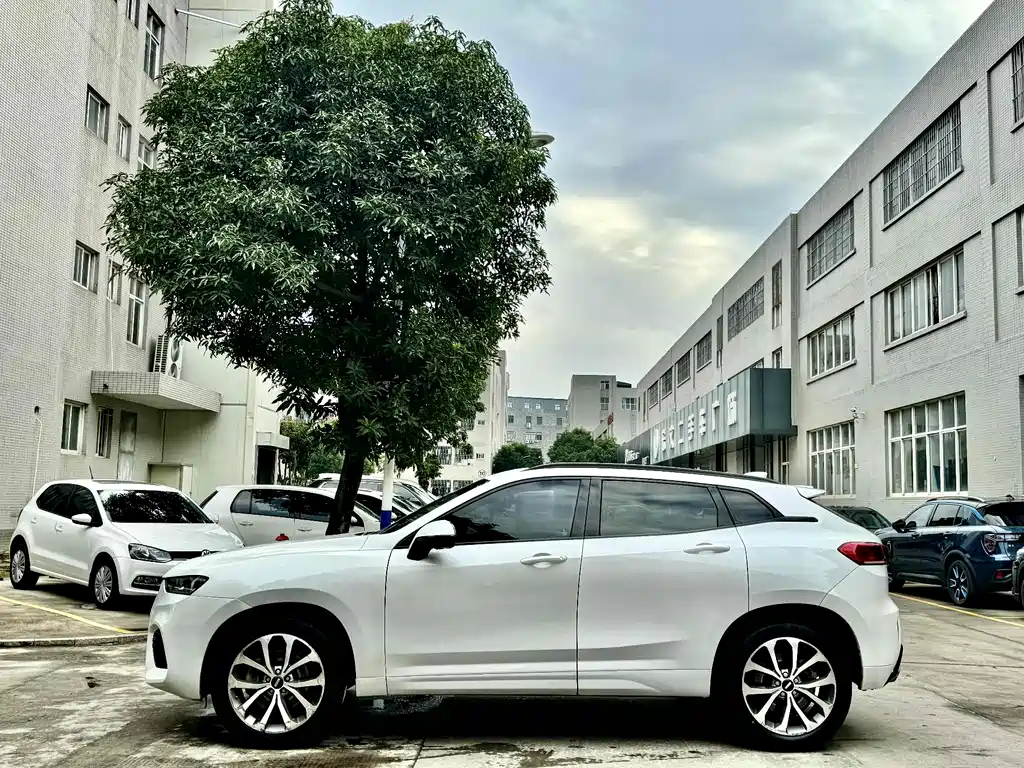 WEI PAI WEI BRAND VV7