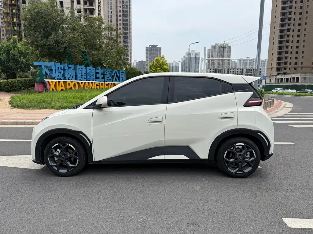 BYD Seagull 2025 305km Freedom