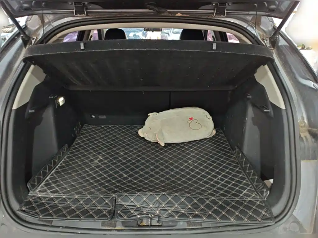 BYD Yuan Plus — миниатюра 24