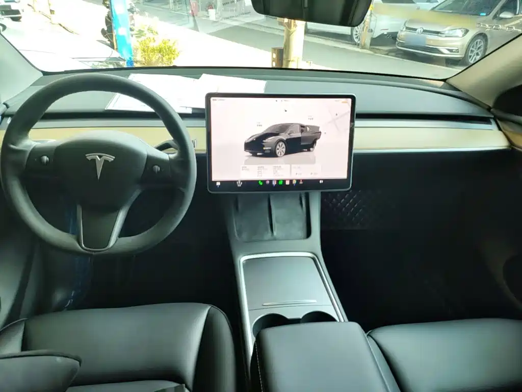 Tesla Model Y — миниатюра 10