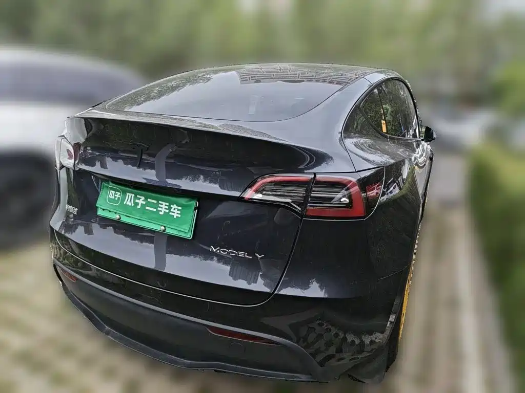 Tesla Model Y — миниатюра 4