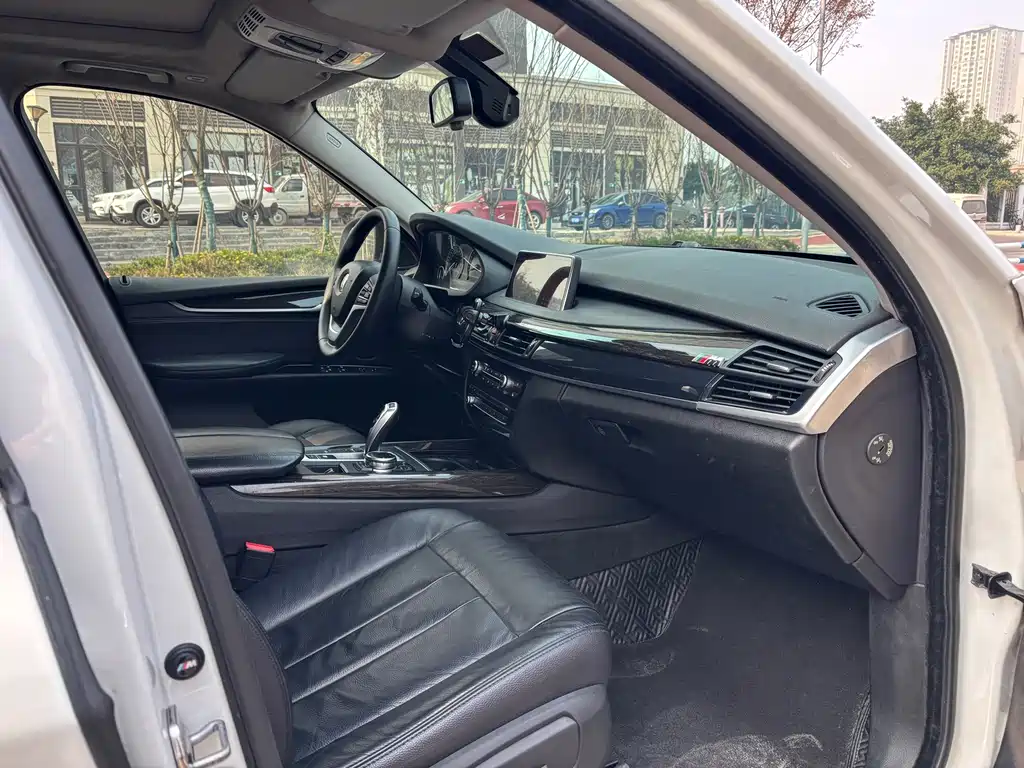 BMW X5 (Import) — миниатюра 8