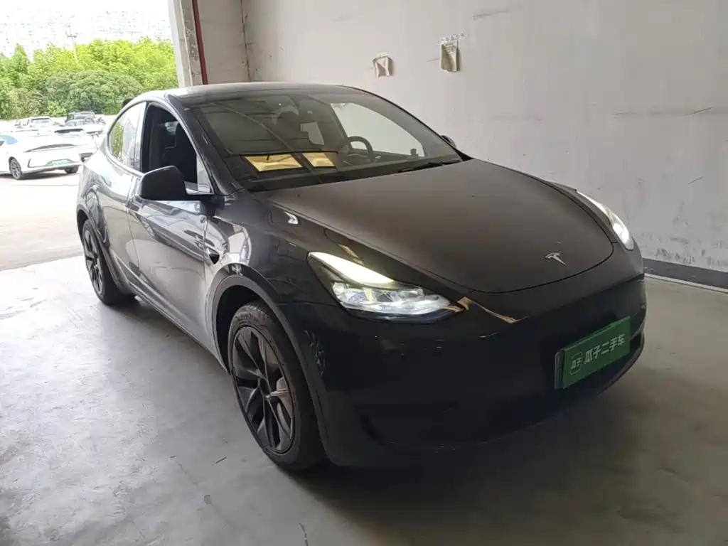 Tesla Model Y — миниатюра 4