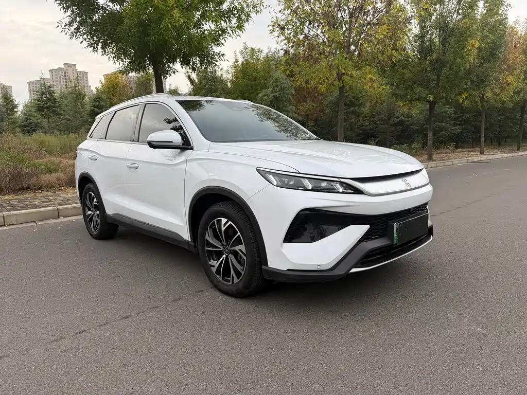 BYD Pro New Energy — миниатюра 3
