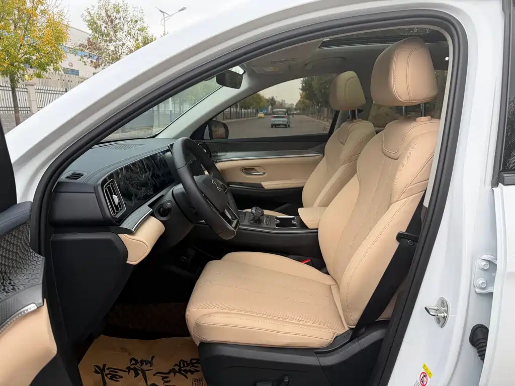 BYD Pro New Energy — миниатюра 7
