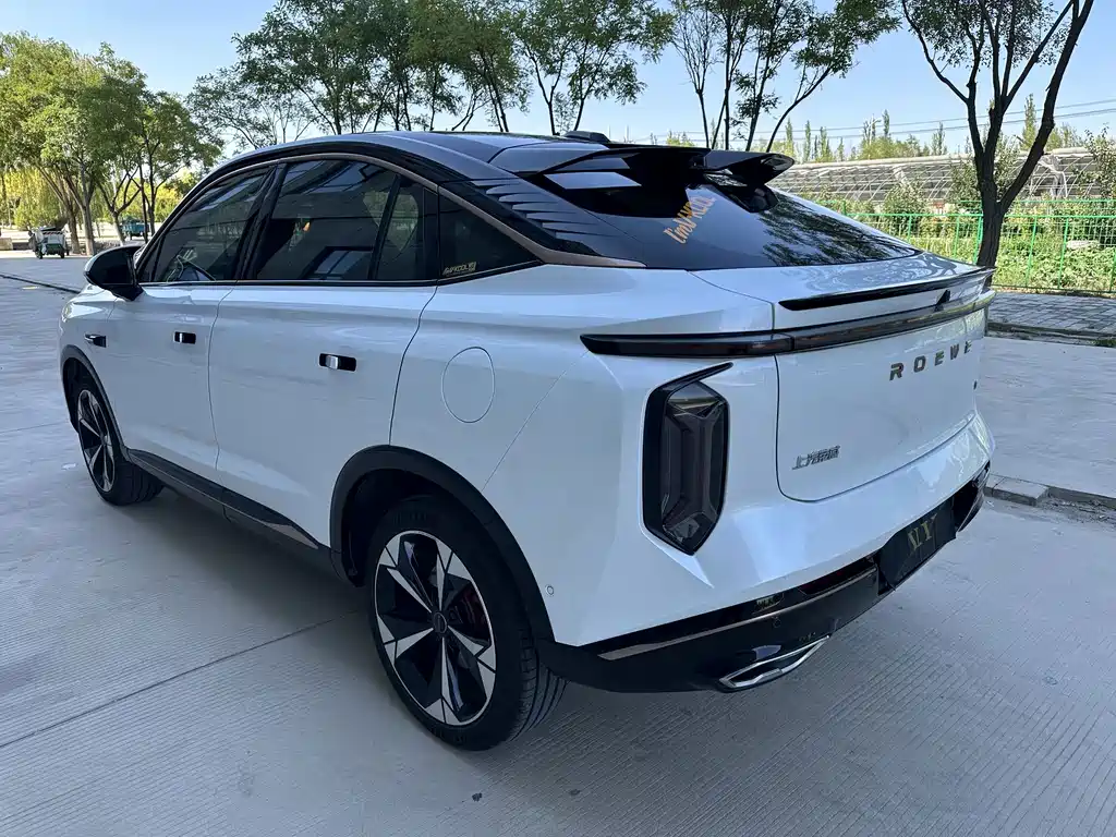 Roewe Whale 2.0T Blue Whale Edition, фото 8