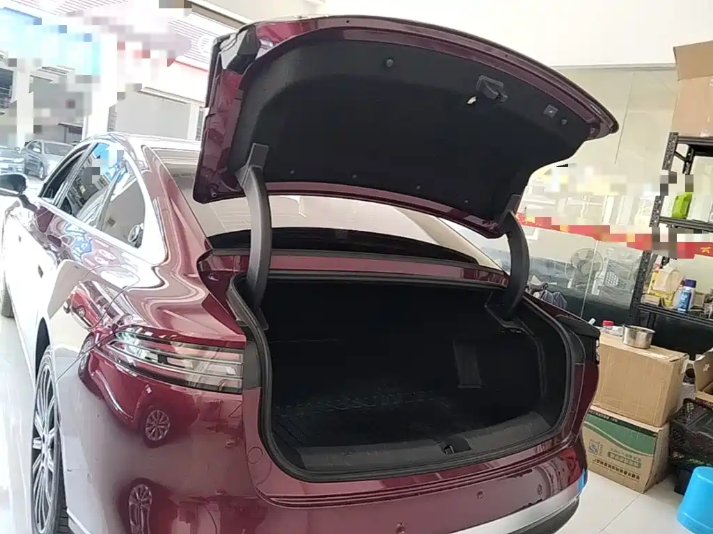 Fulwin Fengyun A9L — миниатюра 19