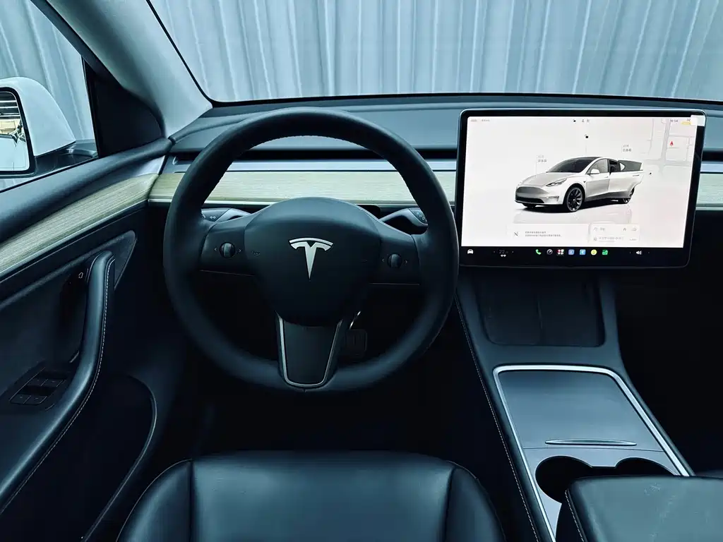 Tesla Model Y — миниатюра 13