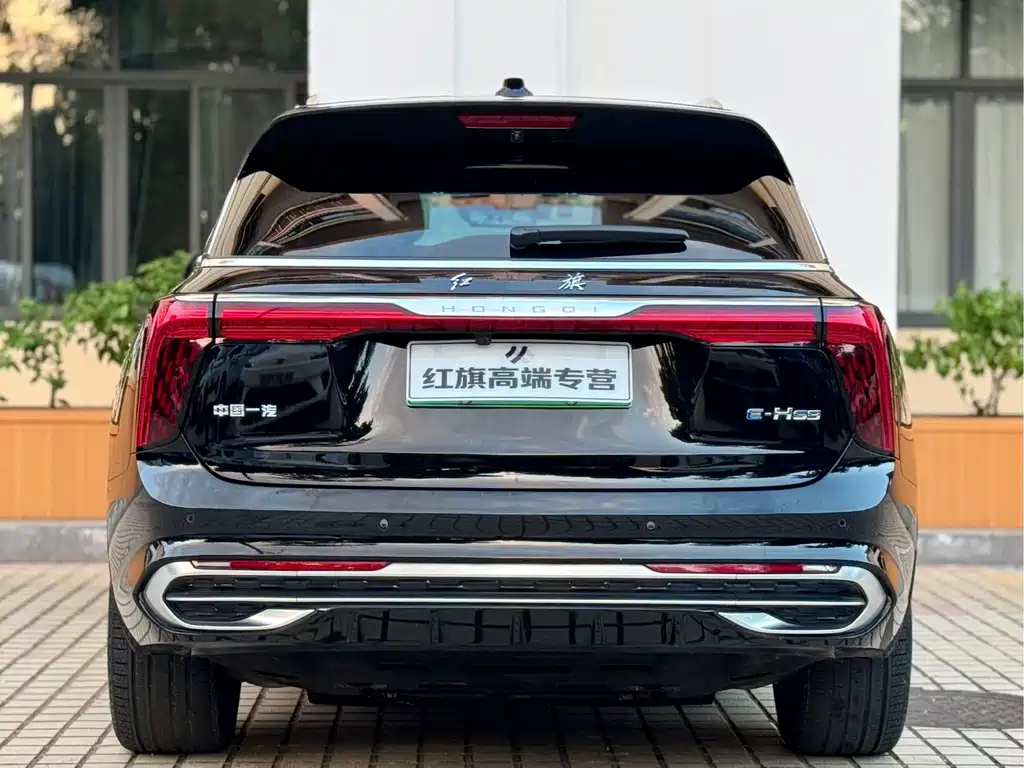 Hongqi Hongqi E-HS9 — миниатюра 19