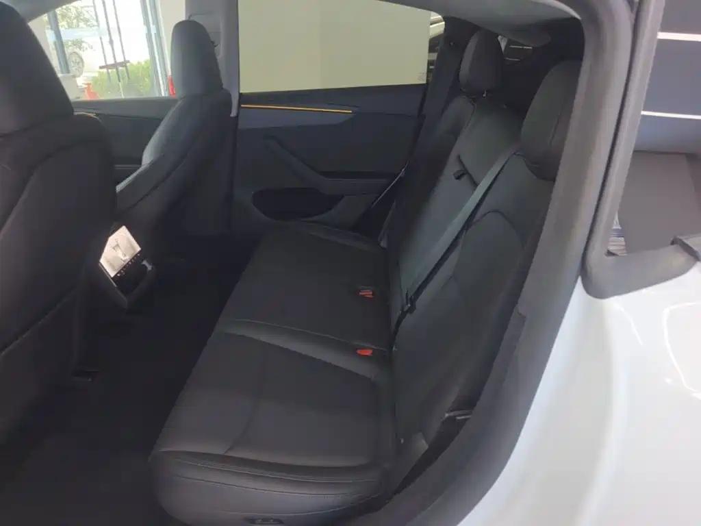Tesla Model Y — миниатюра 17