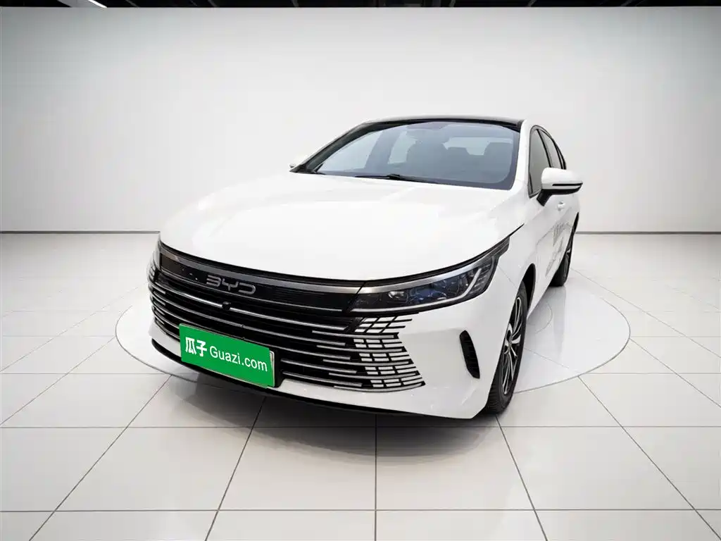 BYD Destroyer 05 2024 DM-i 55KM Luxury