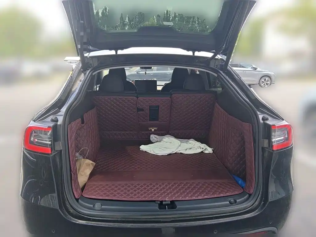 Tesla Model Y — миниатюра 10