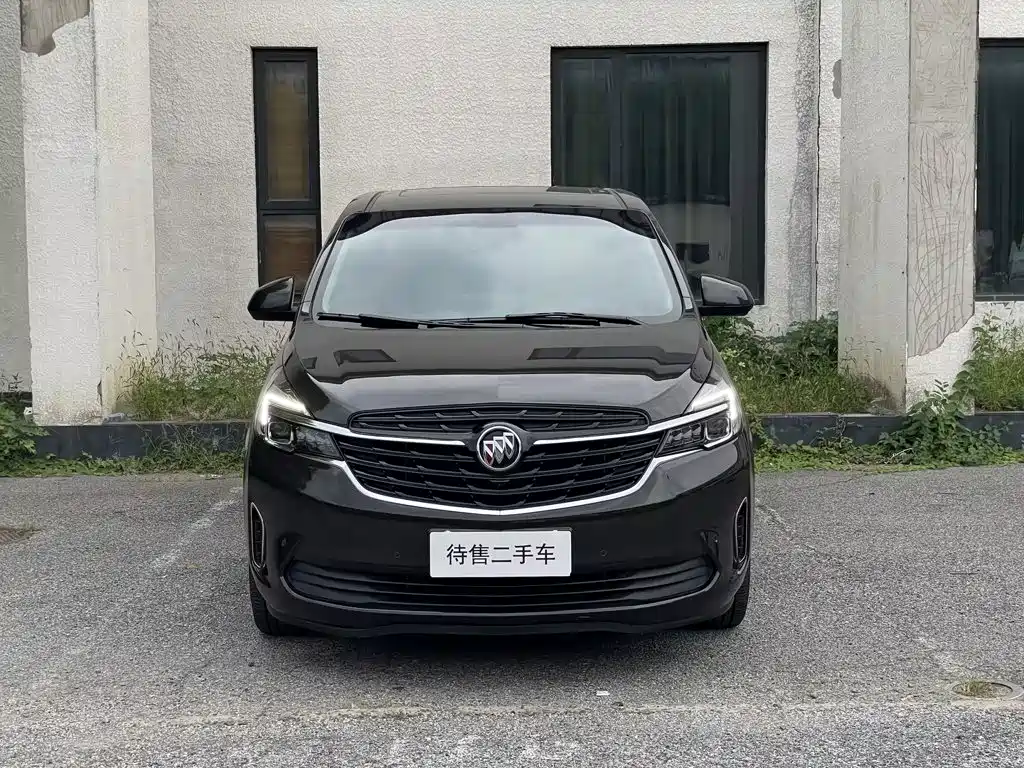 Buick GL8 — миниатюра 14