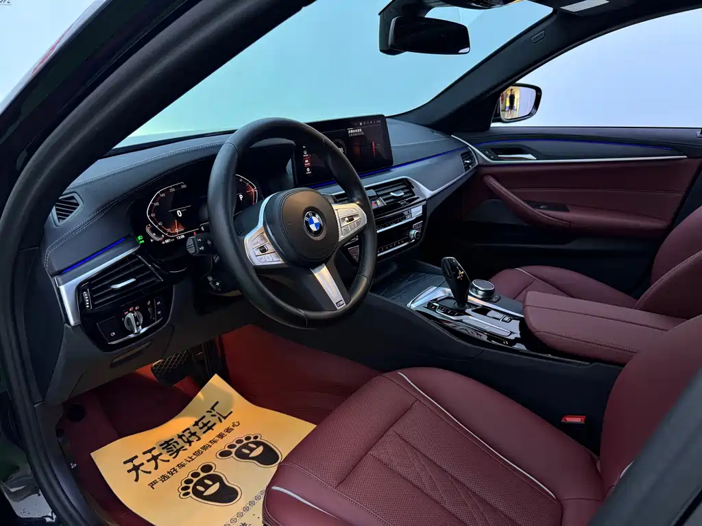 BMW 5 Series — миниатюра 5