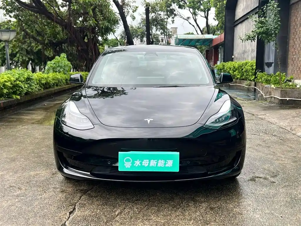 Tesla Model 3 — миниатюра 2