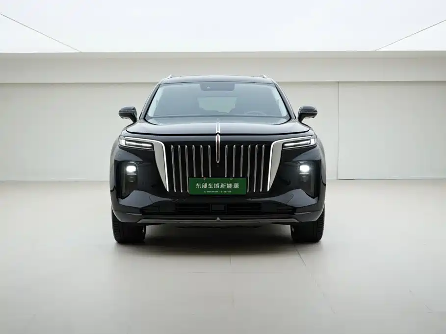 Hongqi Hongqi E-HS9 — миниатюра 2