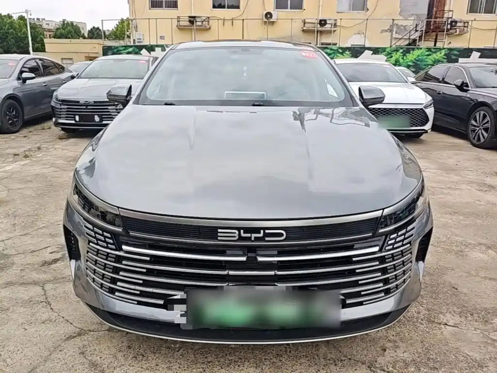 BYD Destroyer 05 2023 Champion DM-i 55KM Luxury