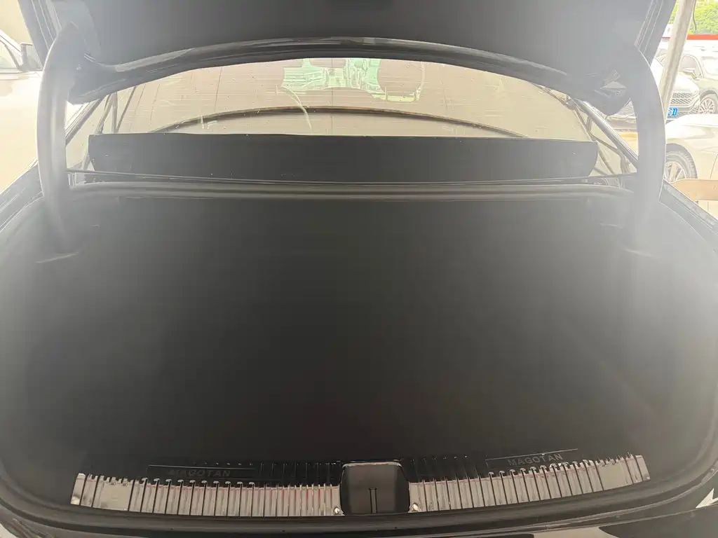 Volkswagen Magotan 2024 380TSI DSG Luxury