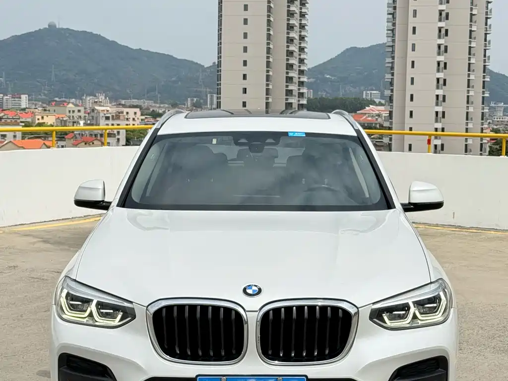 BMW X3 — миниатюра 2