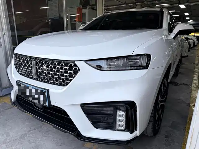 wei-pai wei-brand-vv7